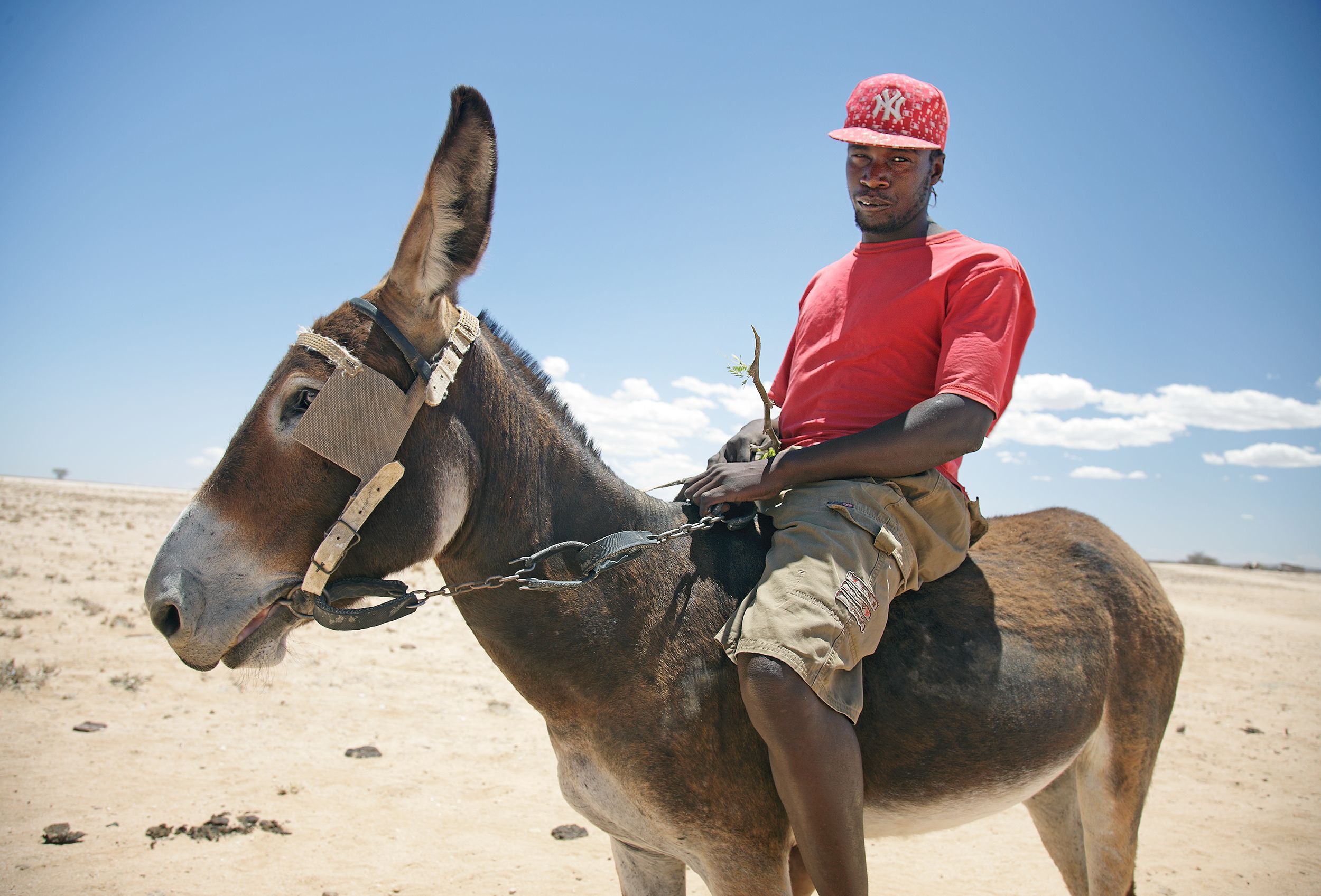 A man riding a donkey in a desert-like environment, wearing a red t-shirt and a baseball cap with a New York Yankees logo.