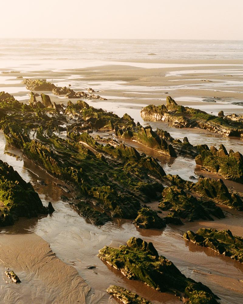 Rocky shoreline with large moss-covered boulders and tidal pools, ocean in the background.