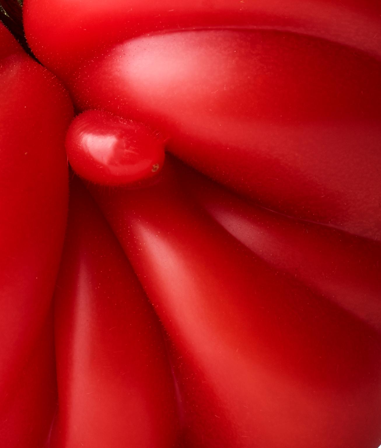 Close up of a bright red tomato by chelsea bloxsome