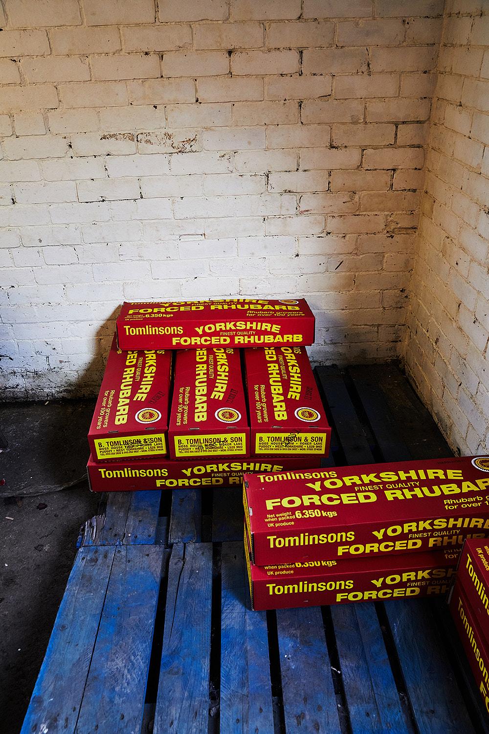 A stack of red and yellow boxes with the words 'Yorkshire Forced Rhubarb' on them, sitting on a blue wooden pallet in front of a white brick wall.