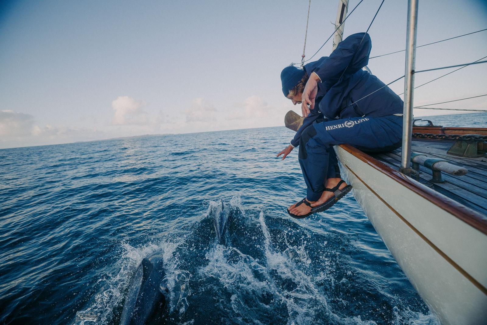 A man sits on a sailboat edge, observing dolphins in the water.