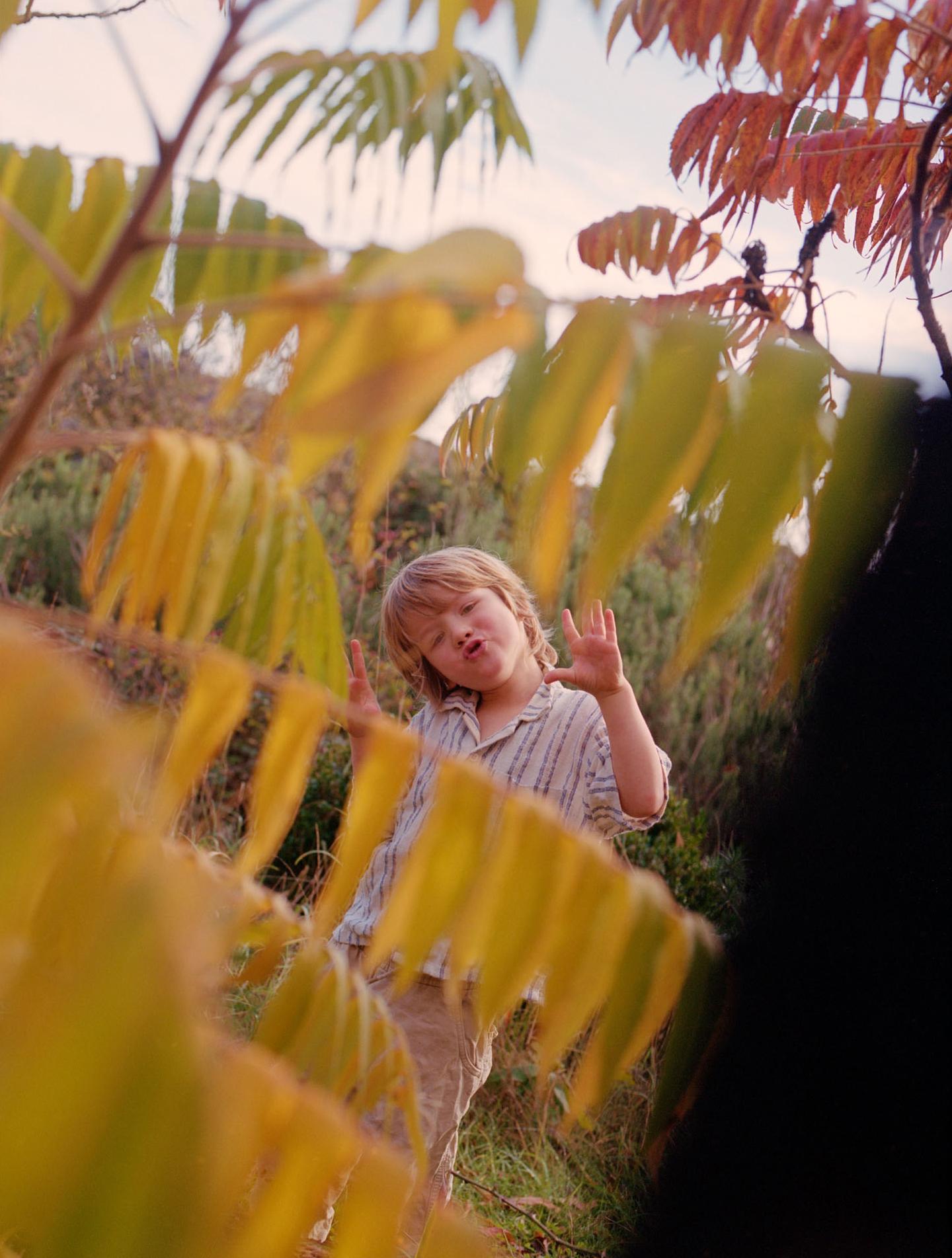 A young boy with blonde hair and a striped shirt is standing in a forest, surrounded by trees and leaves.