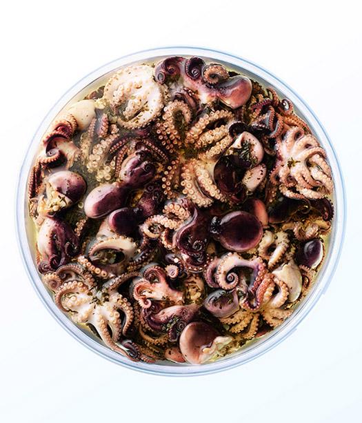 A bowl of cooked, marinated, and seasoned octopus in a flavorful broth, likely served as a main dish in a restaurant or a food photography studio.