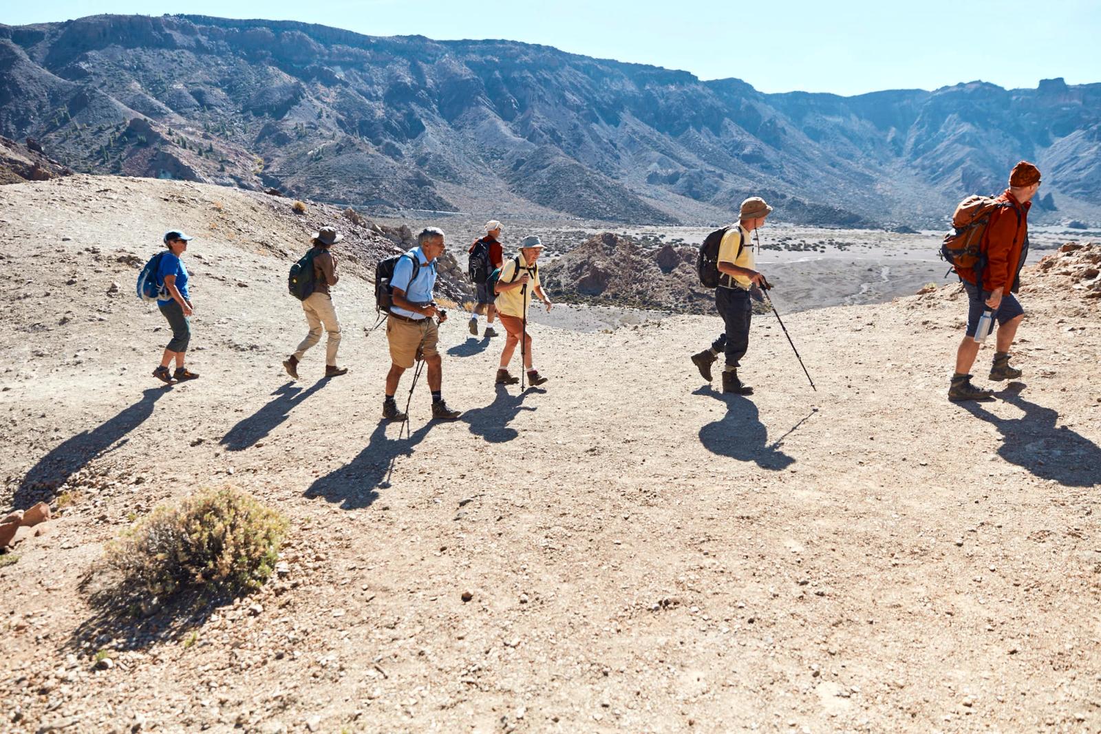 A group of hikers, mostly older adults, walk along a dirt path in a desert landscape, wearing backpacks, hats, and trekking poles, with a rugged mountain range in the background,.