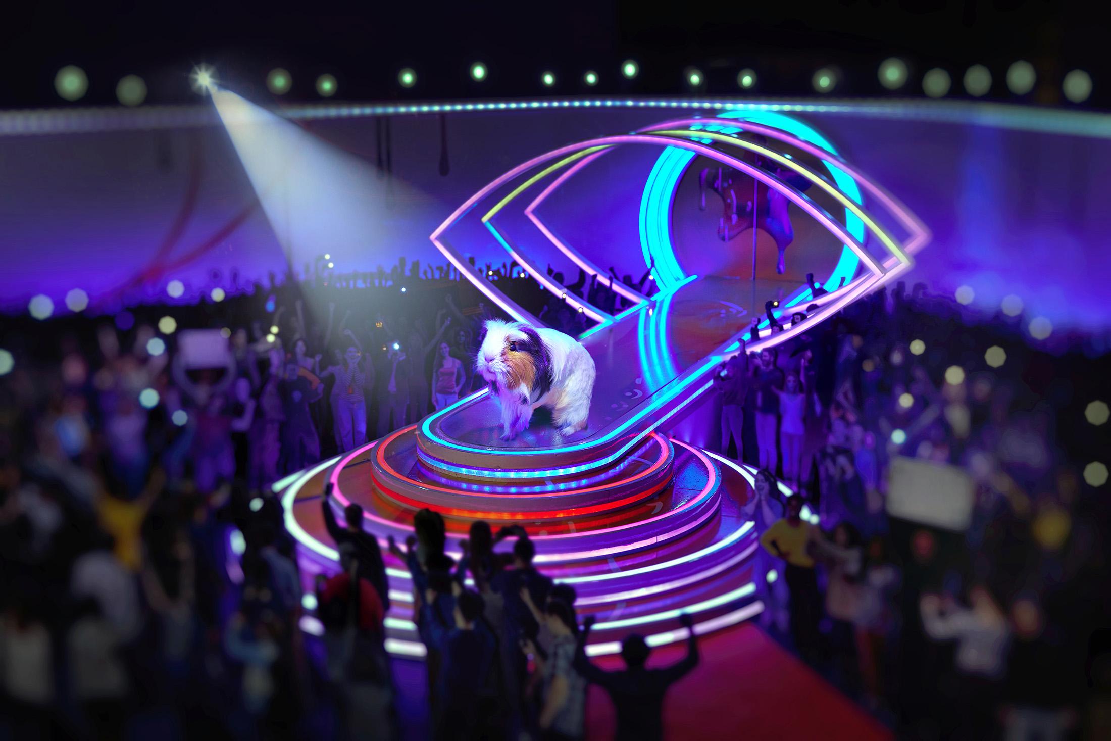 Celebrity Big Brother