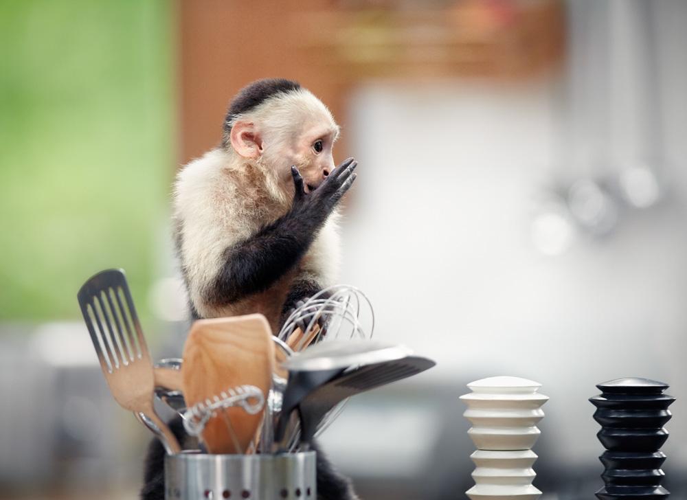 A monkey is sitting at a table with a variety of kitchen utensils and tools, including a chef's hat, a frying pan, and a whisk, in a kitchen setting.