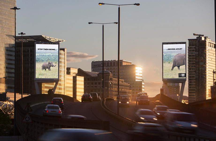 A city street with a large billboard featuring a poster of a wild elephant in a savannah landscape, with a slogan 'Stop the Elephant Trade' in the top left corner.