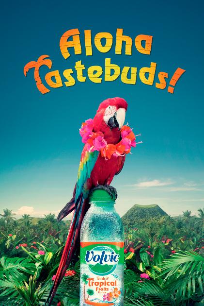 A parrot perched on a bottle of Volvic water with a flower garland and necklace in a tropical setting with palm trees and a mountain.