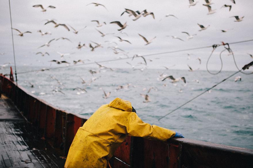 A person in a yellow raincoat and blue gloves is leaning over the edge of a boat, surrounded by a large flock of seagulls in flight over the water.