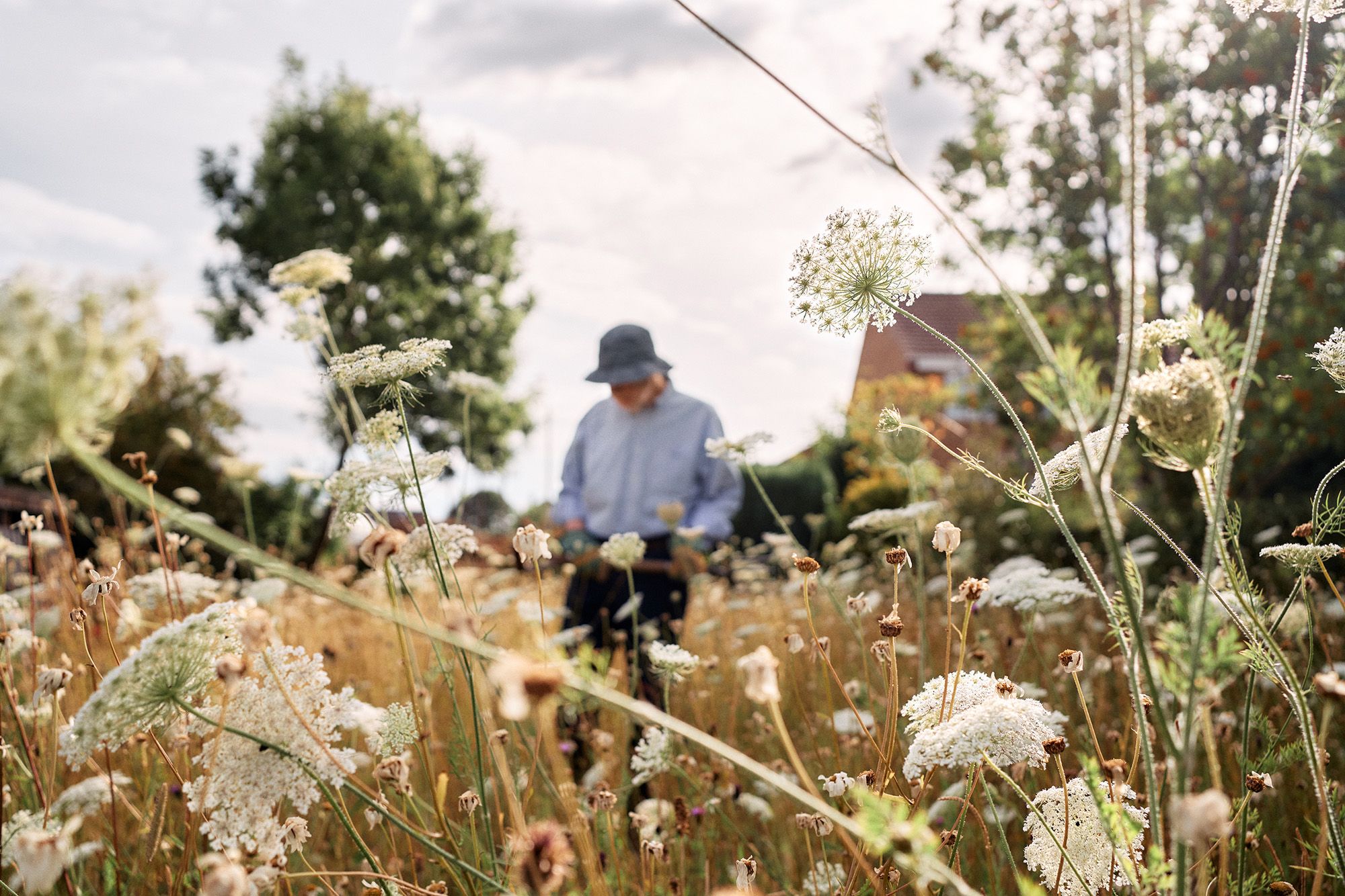 A person in a field of wildflowers, wearing a blue shirt and a hat, surrounded by tall grass and colorful flowers.