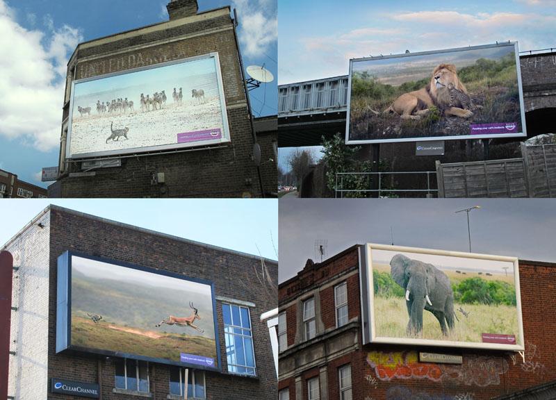 A large billboard in London featuring a group of wild animals, including a lion, elephant, and giraffe, in a savannah landscape.