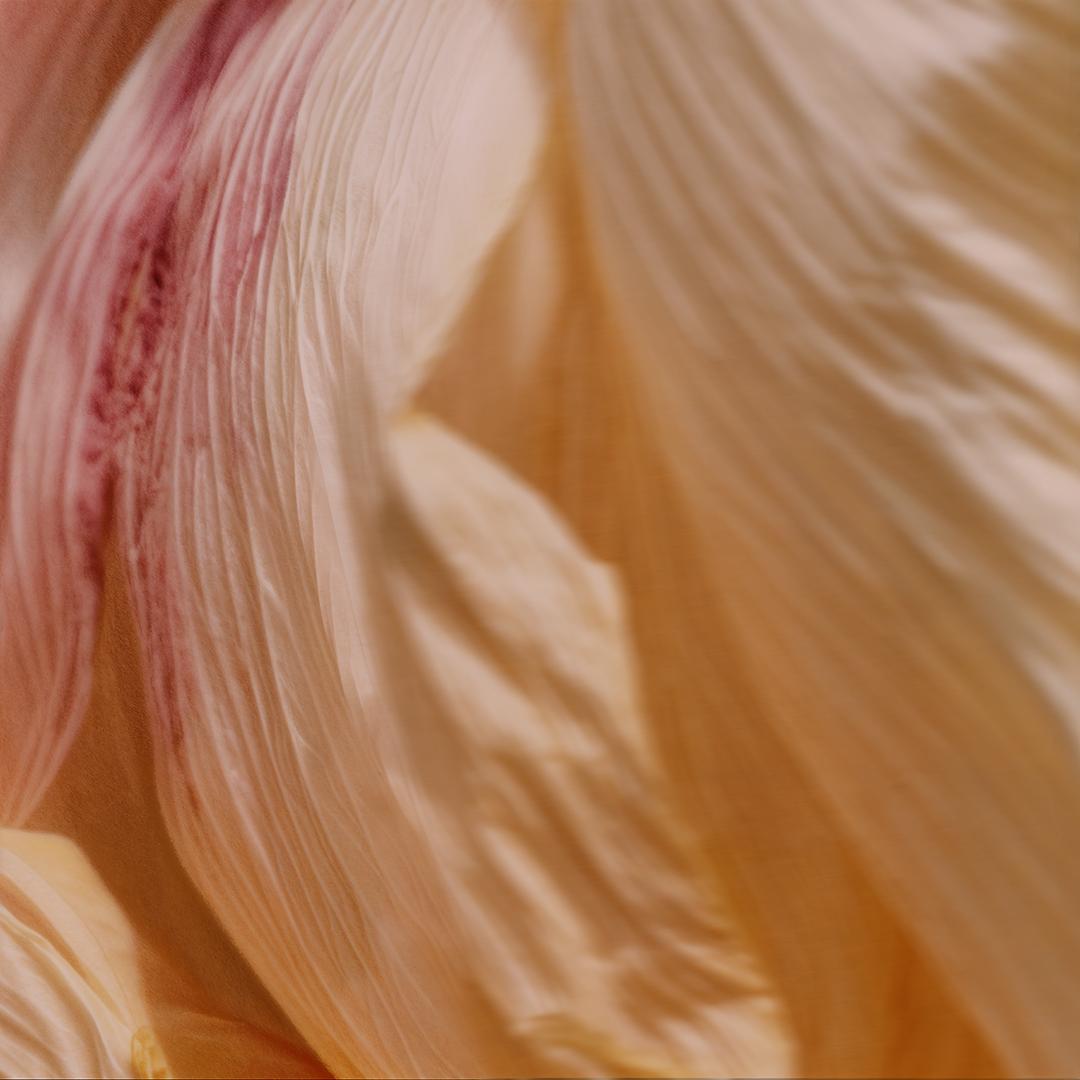 A close-up of a delicate, pale pink, layered, hand-pleated silk fabric, with a subtle sheen and a soft, gentle texture.