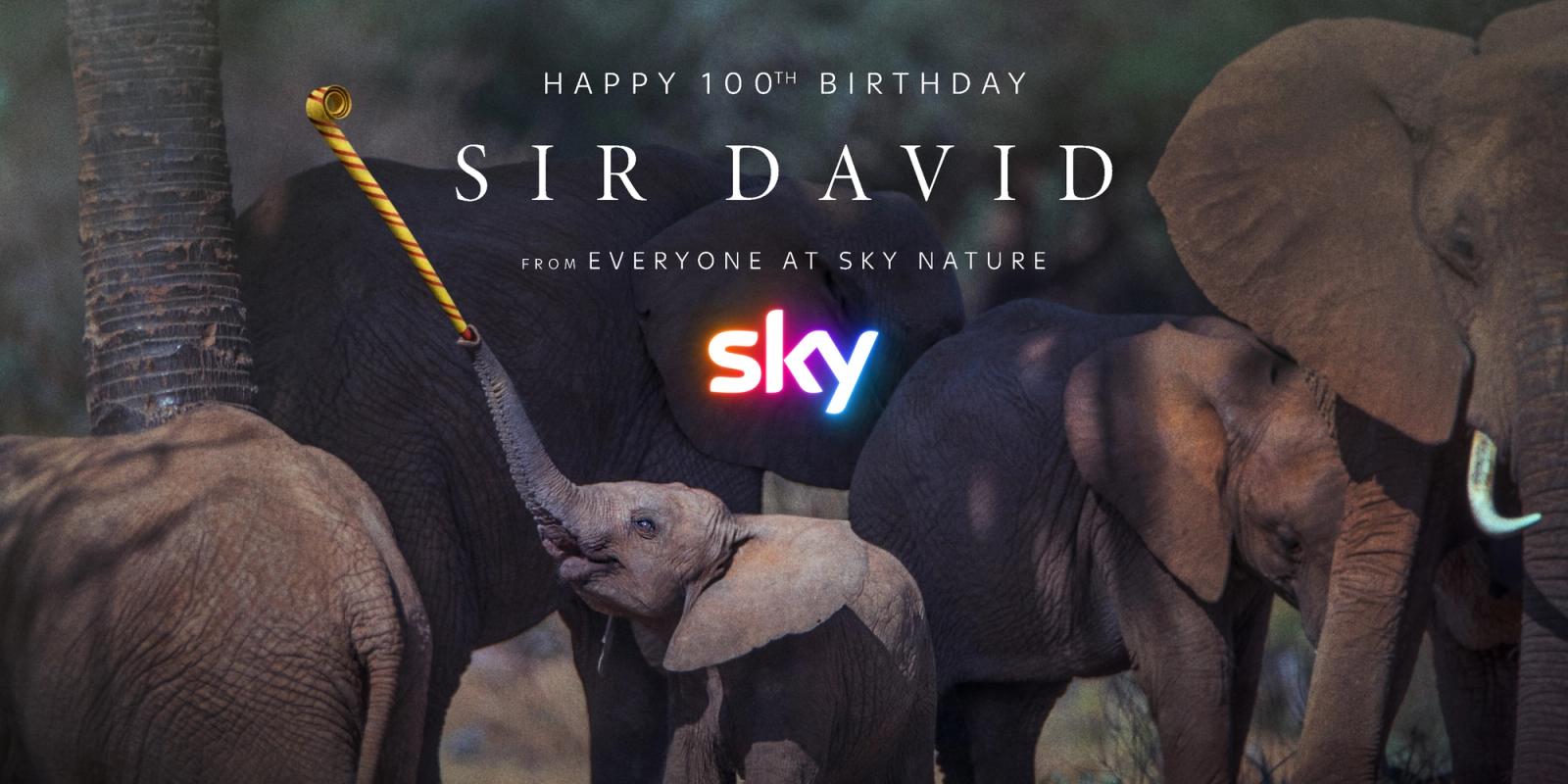Sir David Attenborough 100th Happy Birthday photo by George Logan Elephants