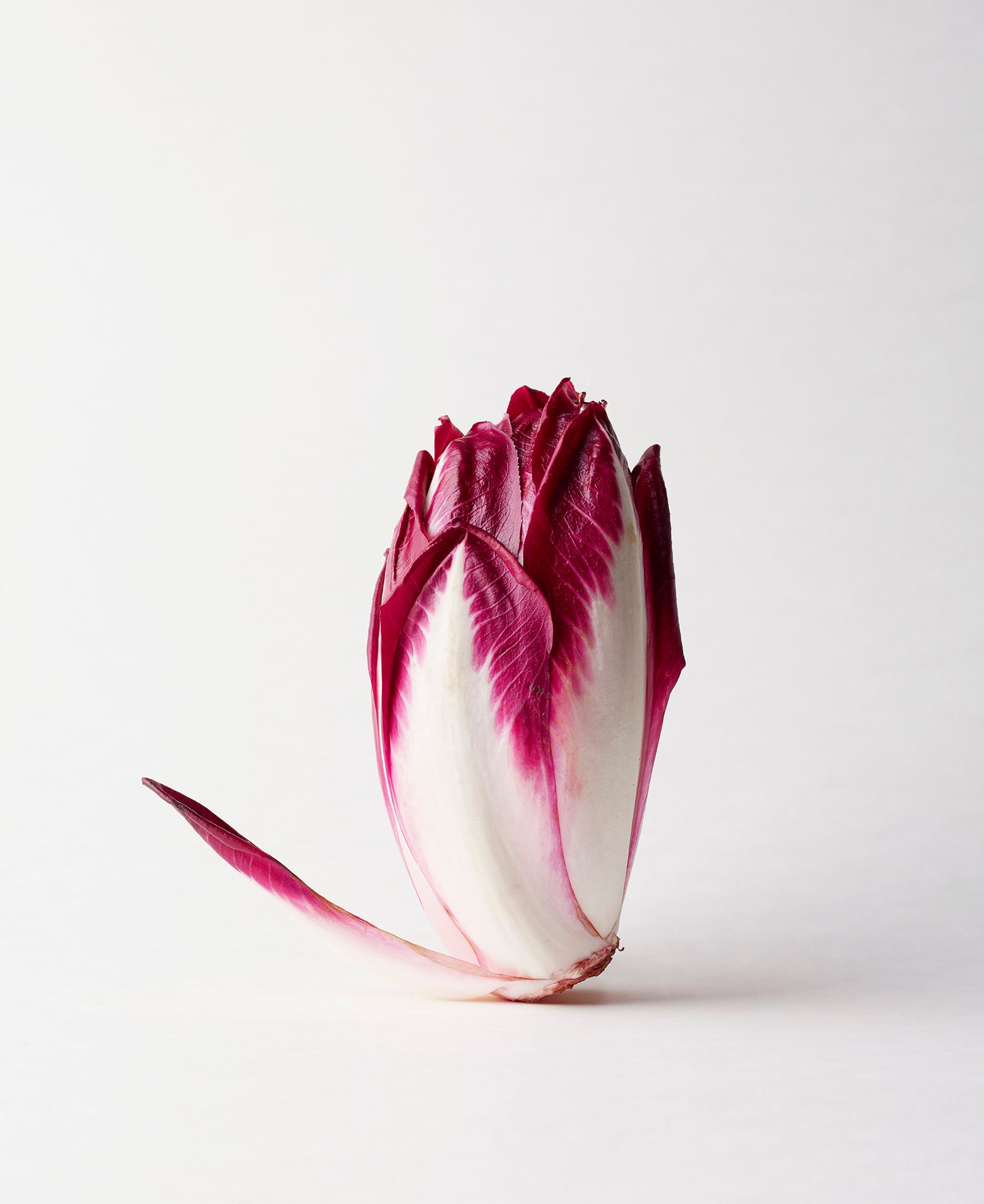 A single, unpeeled, red, leafy vegetable, likely a radish or a beetroot, with a long, thin, red stem.