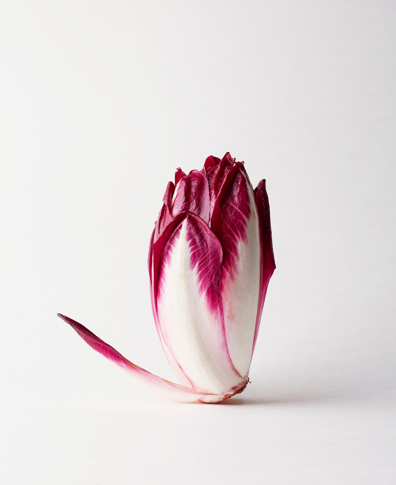A single, unpeeled, red, leafy vegetable, likely a radish or a beetroot, with a long, thin, red stem.