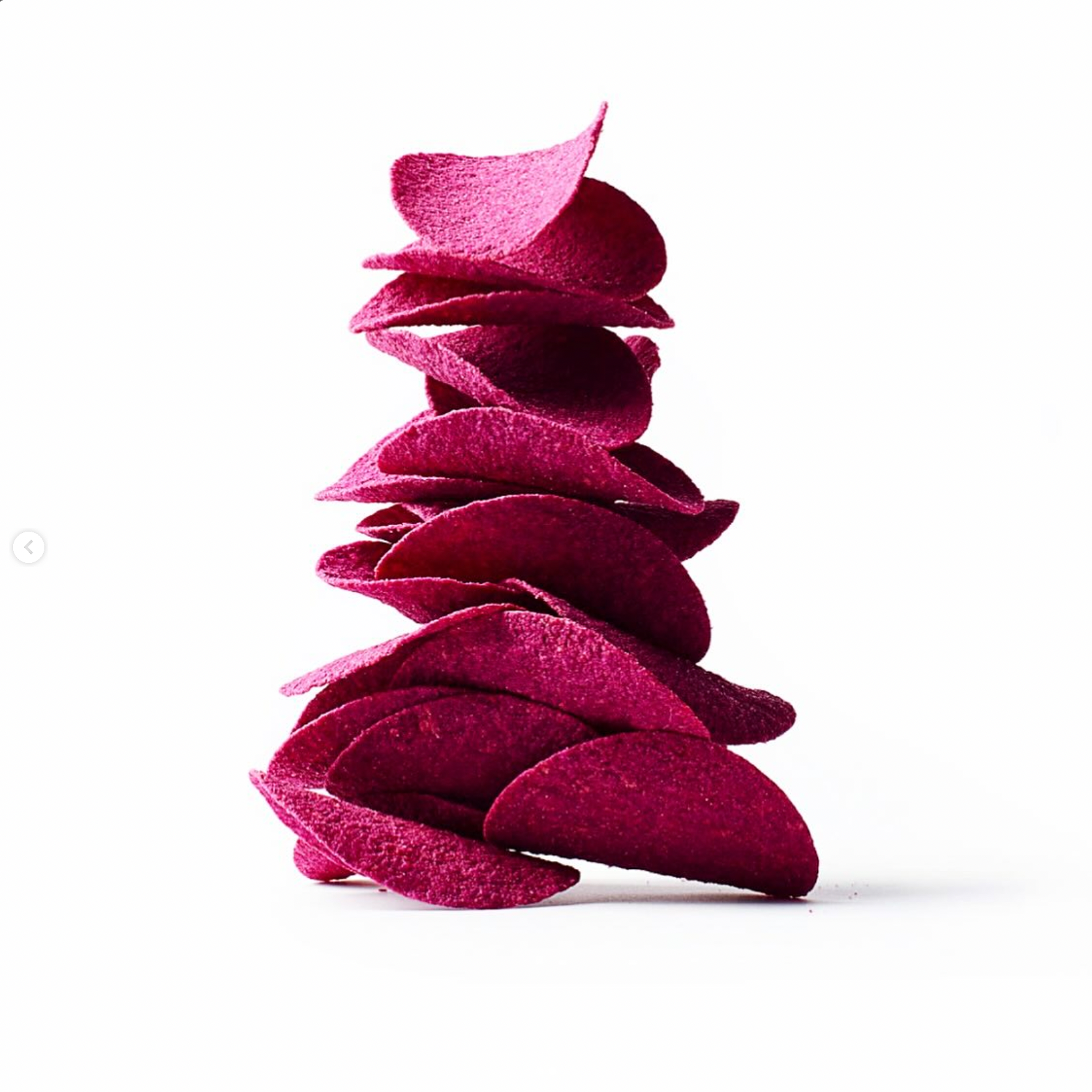 Pink Lady Photo Awards