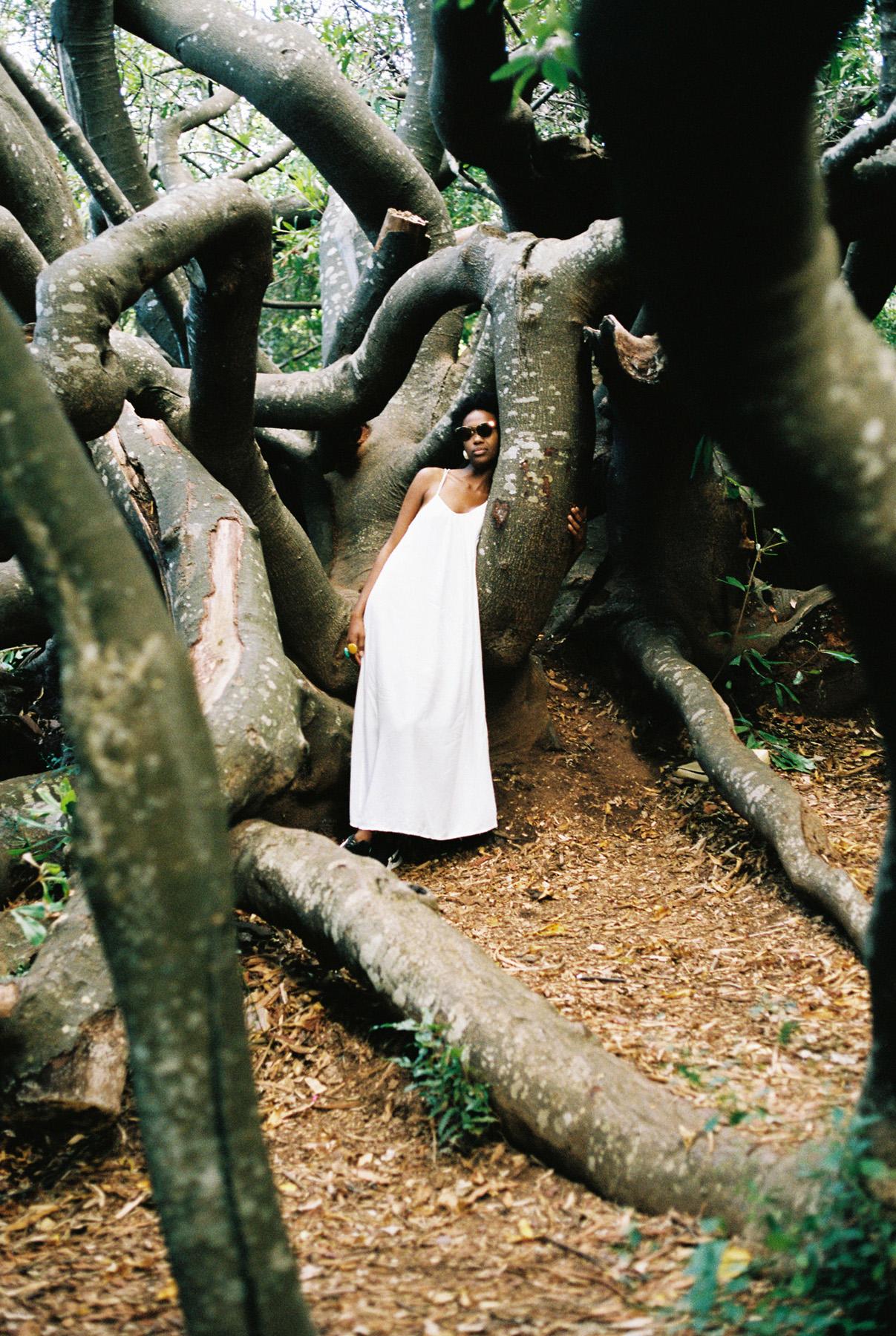 A woman in a white dress standing in front of a large, ancient tree with a massive, twisted trunk and branches.