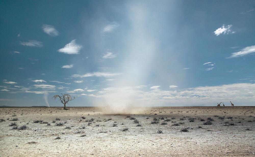 A vast, arid desert landscape with a massive dust storm in the distance, with a few trees and a group of giraffes in the foreground.