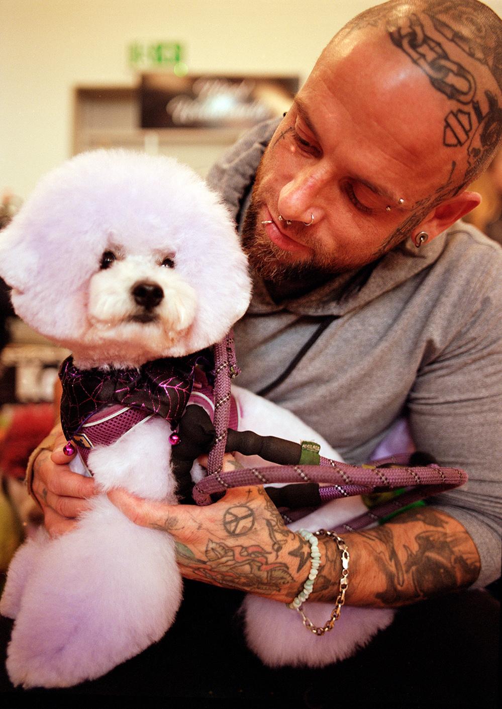 A man with multiple tattoos and piercings is holding a small white dog with a pink, fluffy, and styled haircut, wearing a black and pink dog harness with a spider web pattern.