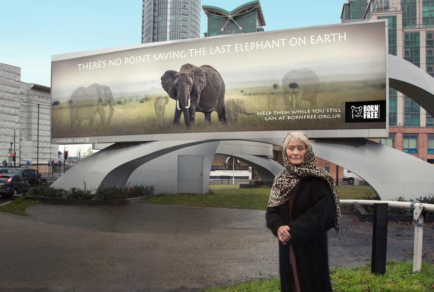 A woman stands in front of a billboard promoting Born Free, featuring an elephant and a call to action.