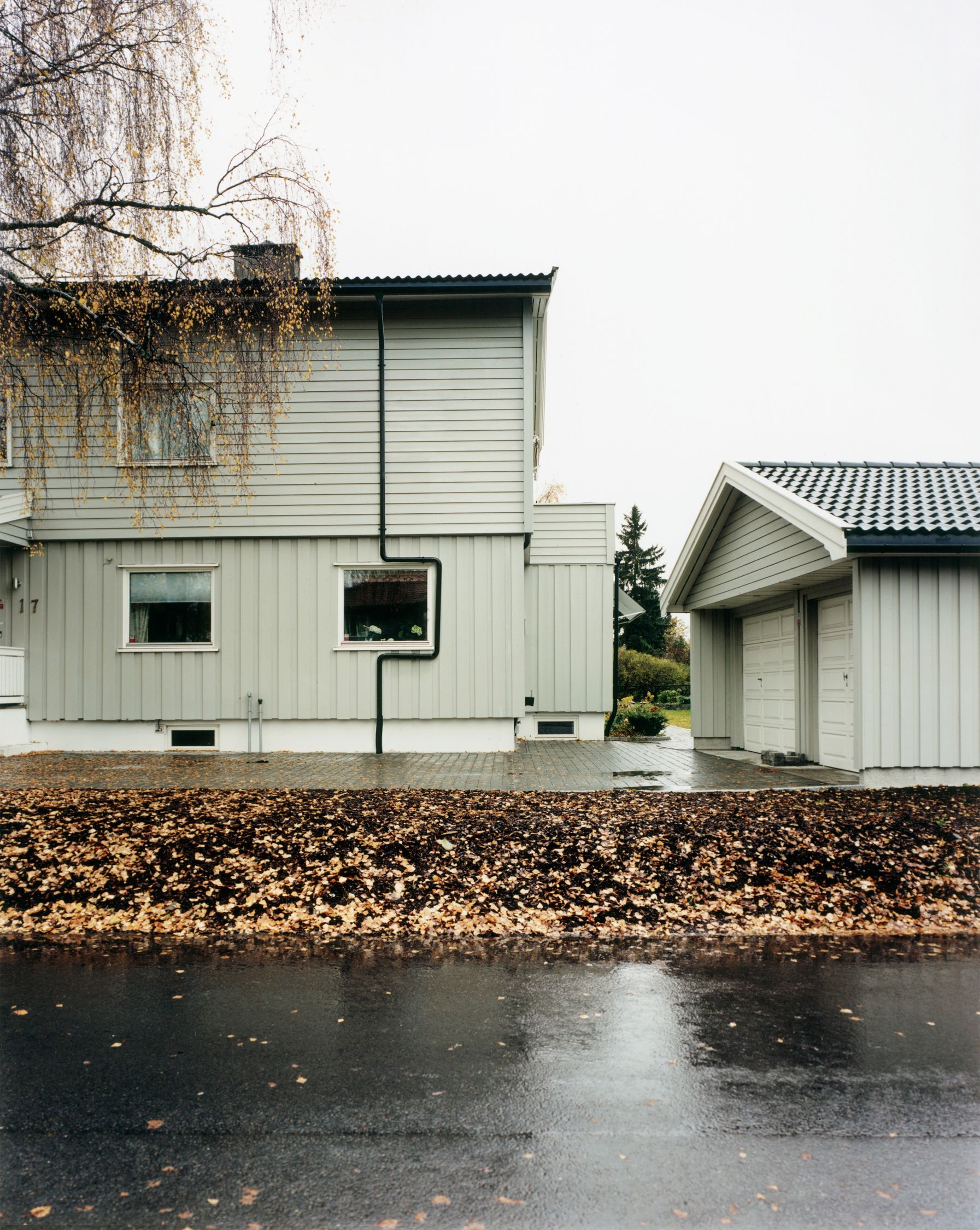 A two-story house with a garage and a tree in the front yard, surrounded by fallen leaves on the ground.