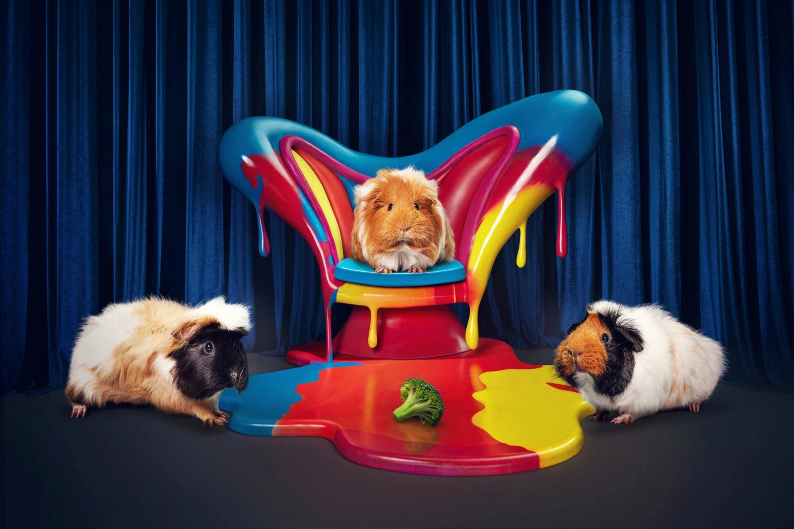 A group of guinea pigs sit on a throne-like chair in a colorful, messy paint-splattered environment with broccoli and paint drops on the floor.