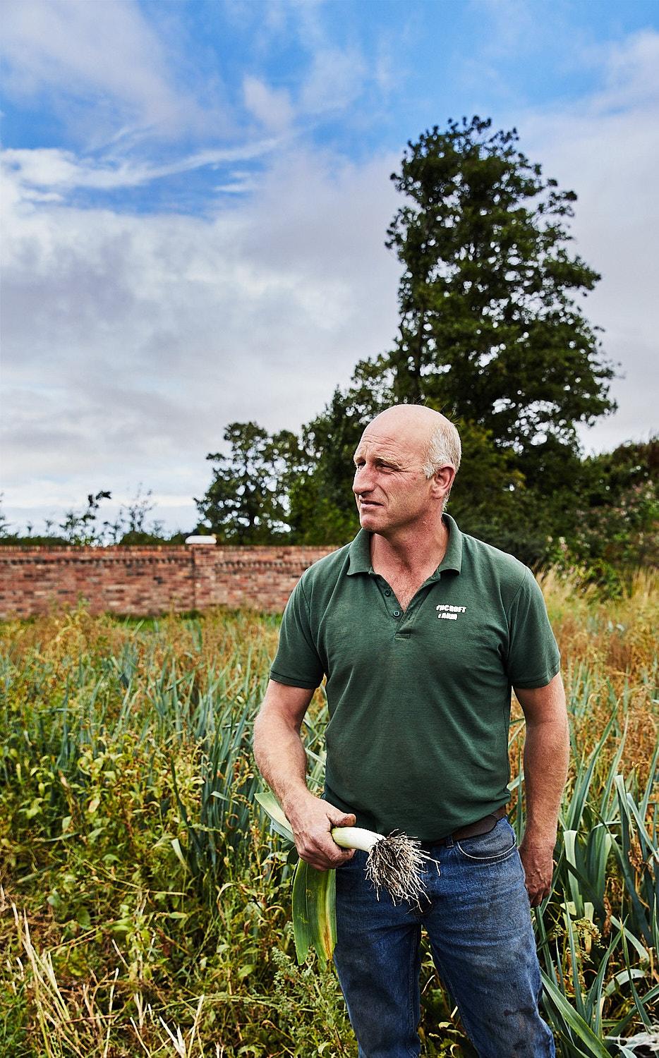 A man in a green polo shirt and jeans, holding a leek in a field of leeks, with a brick wall and trees in the background.