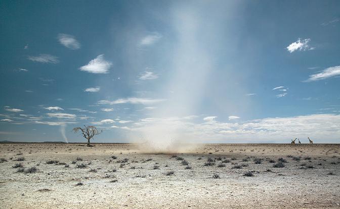 A vast, arid desert landscape with a single, dead tree in the distance, surrounded by sand and rock formations.