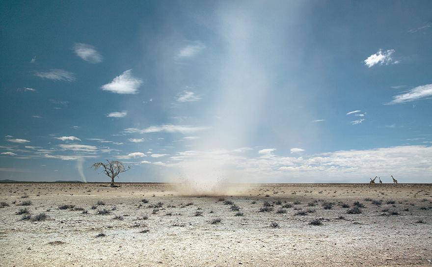 A vast, arid desert landscape with a single, dead tree in the distance, surrounded by sand and rock formations.