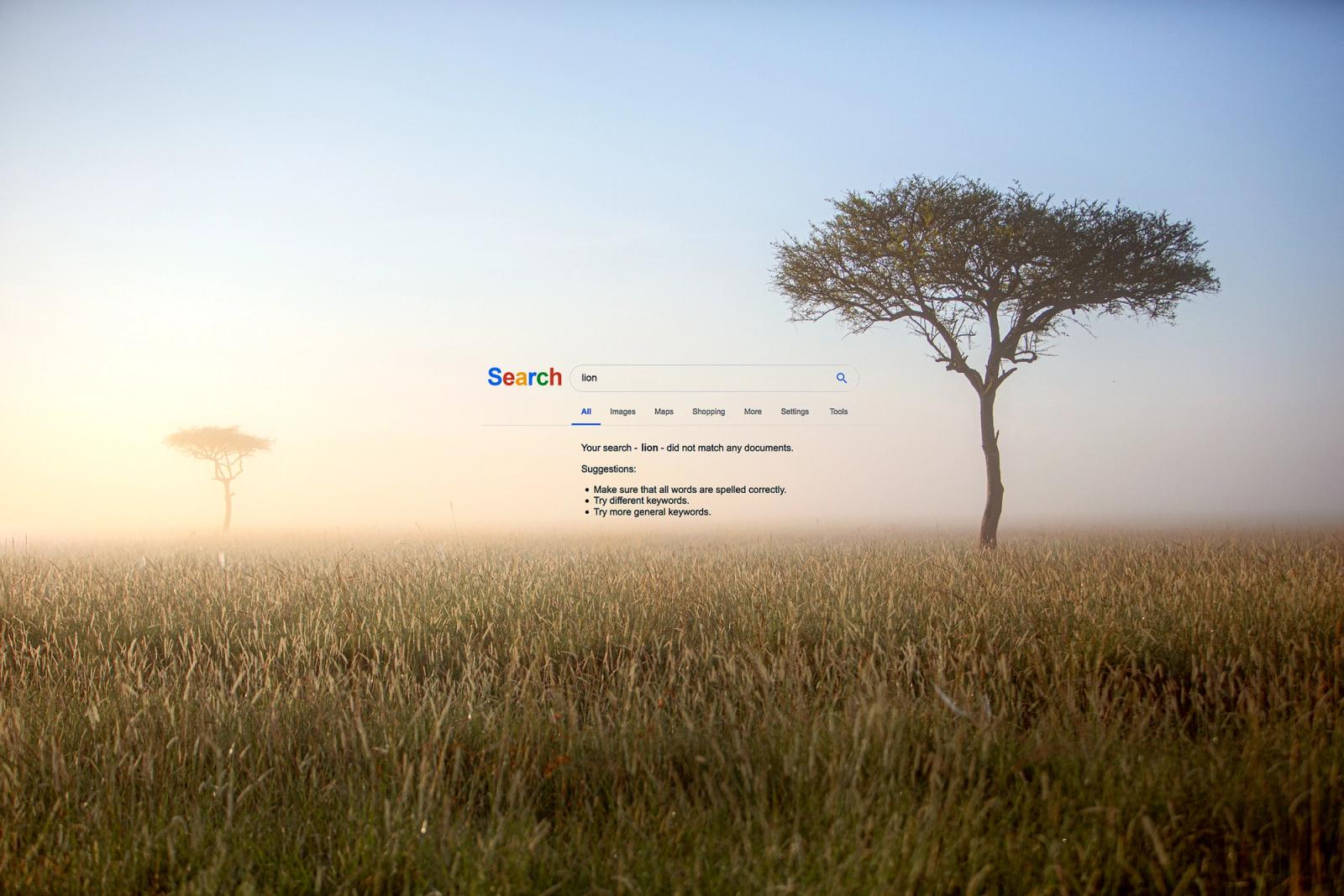 A vast, open grassland with a single tree in the distance, surrounded by a thick fog.