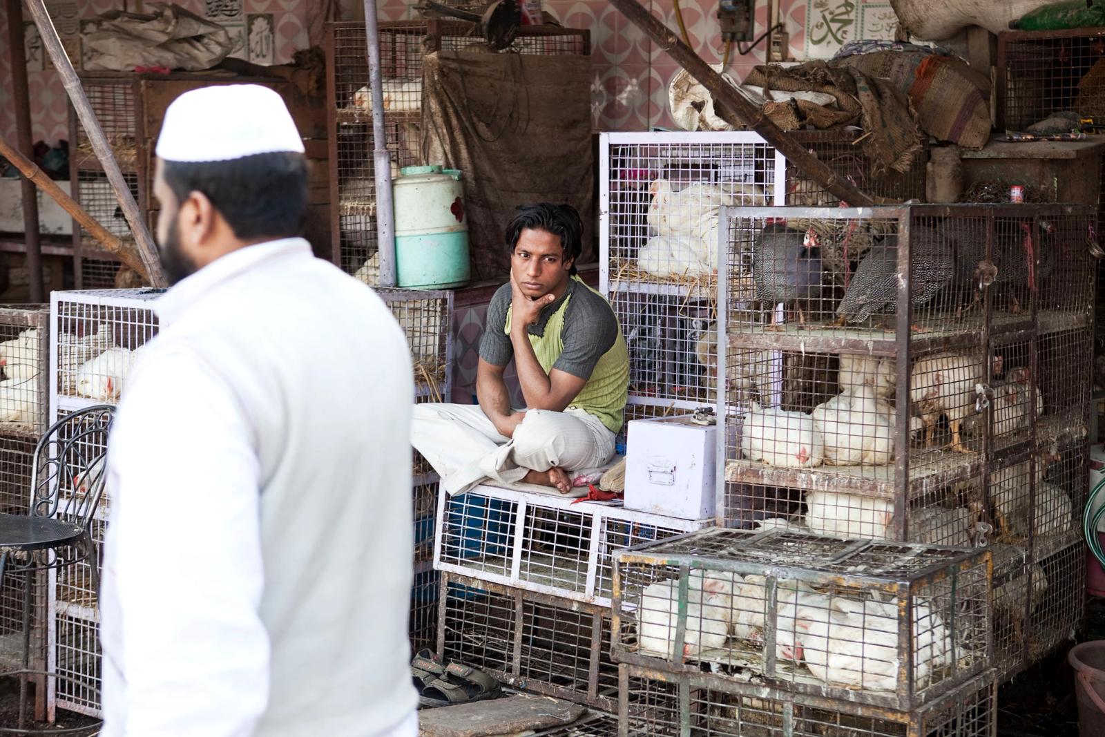 A man in a white shirt and a white cap is standing in front of a man sitting on a crate surrounded by cages of chickens.