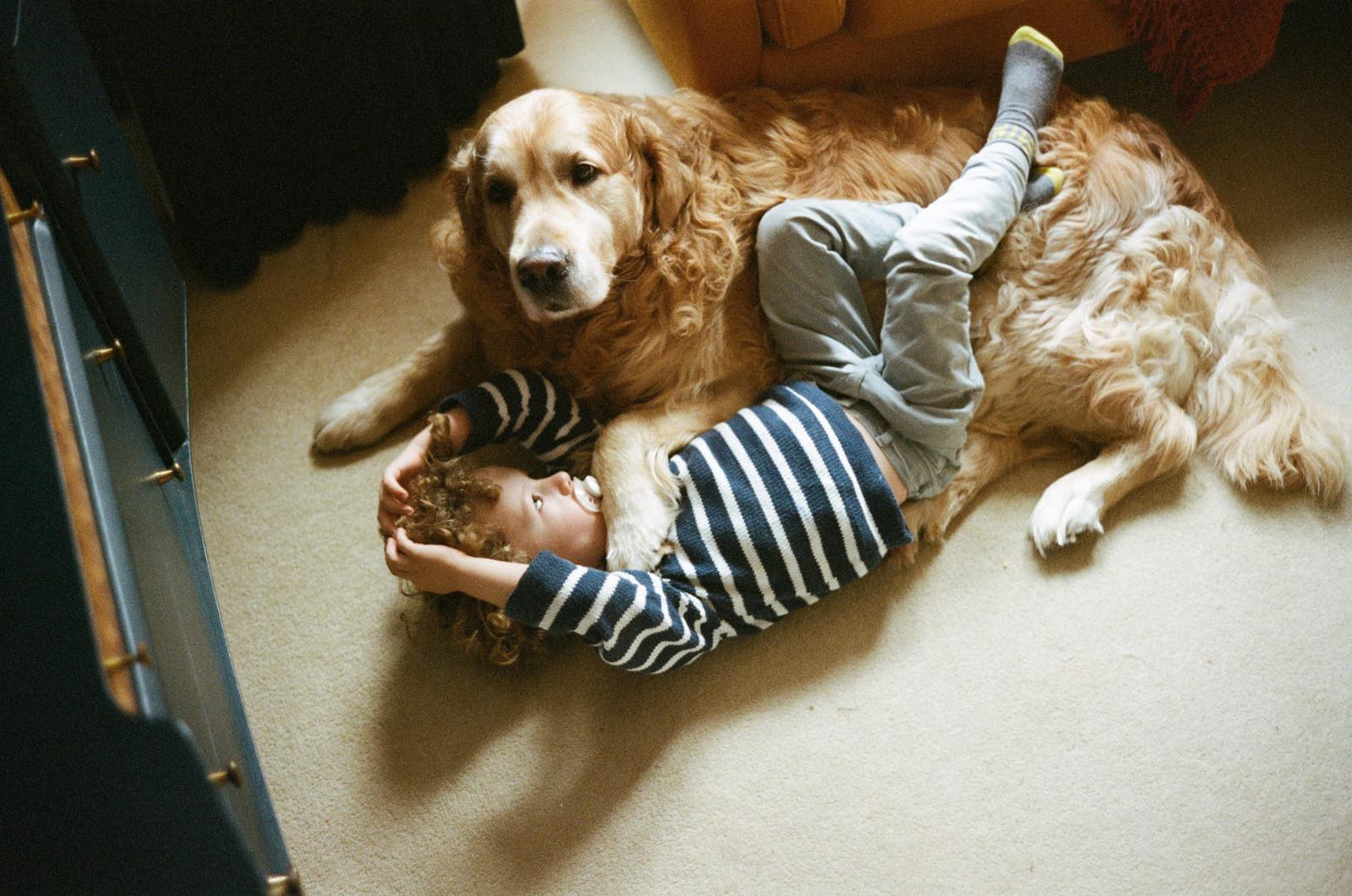 A young child is lying on the floor, hugging a large golden retriever. The child is smiling, and the dog is looking directly at the camera, both seemingly enjoying the moment.
