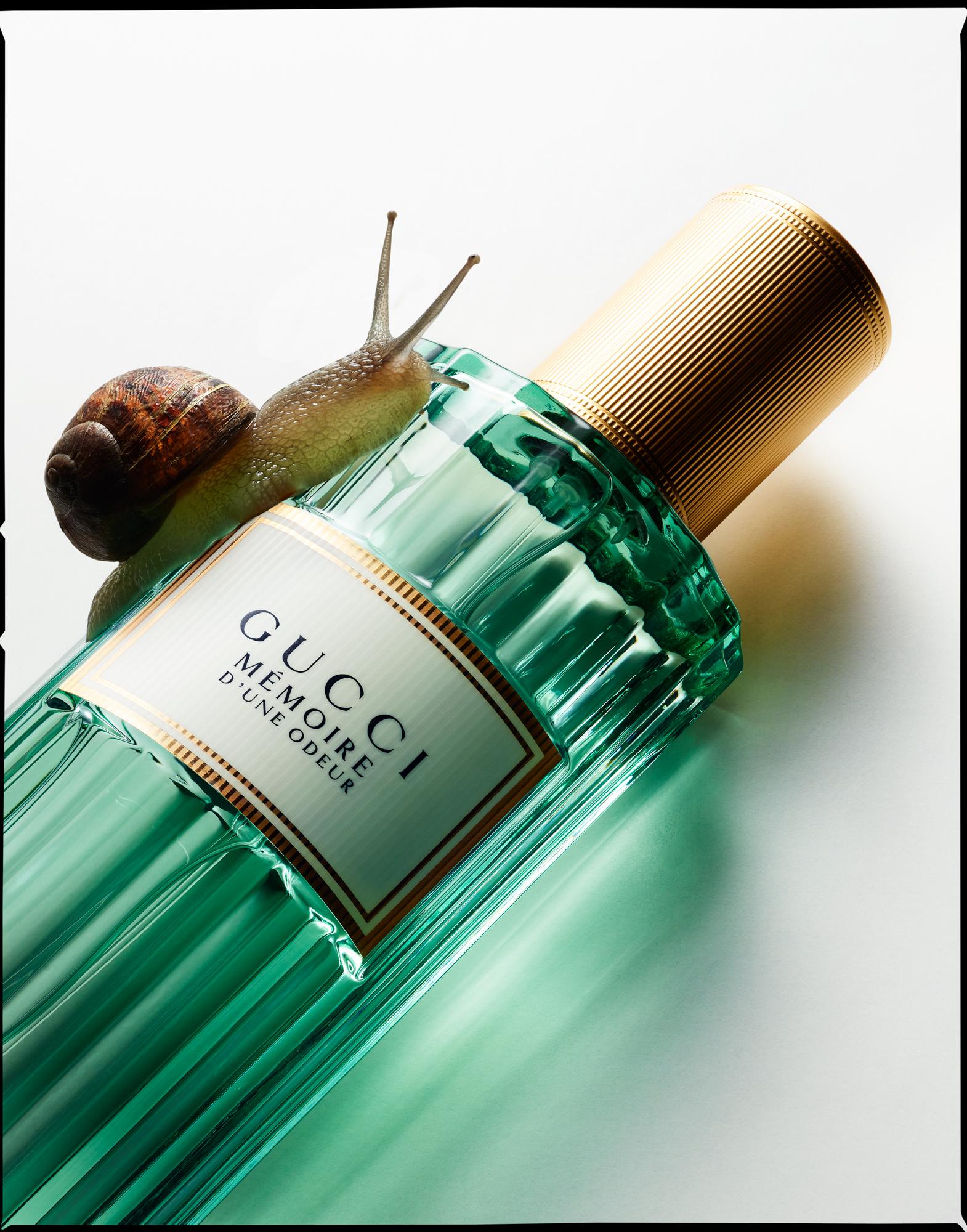 A snail is perched on top of a perfume bottle.