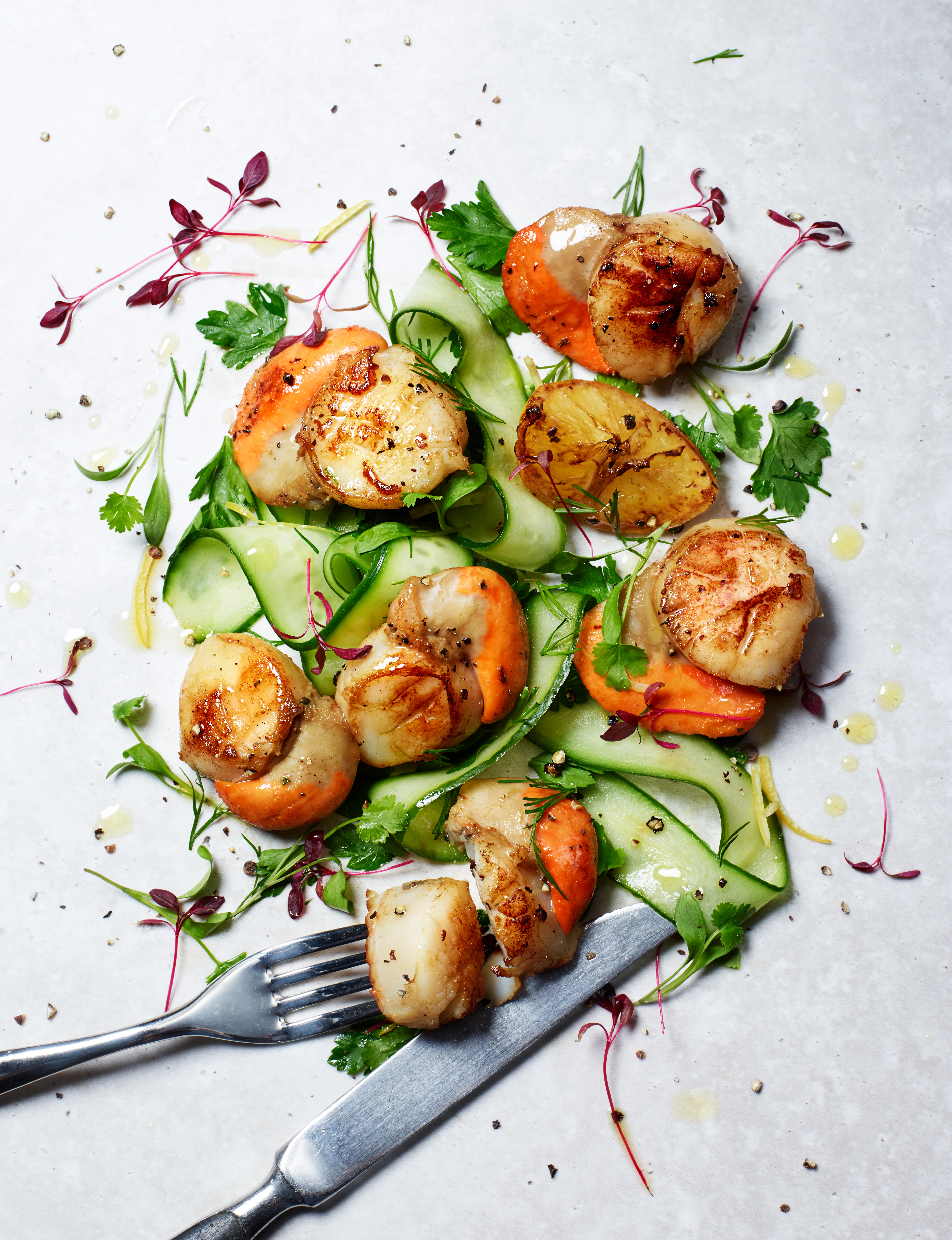 A plate of seared scallops on a bed of sliced cucumber and carrots, garnished with fresh herbs.