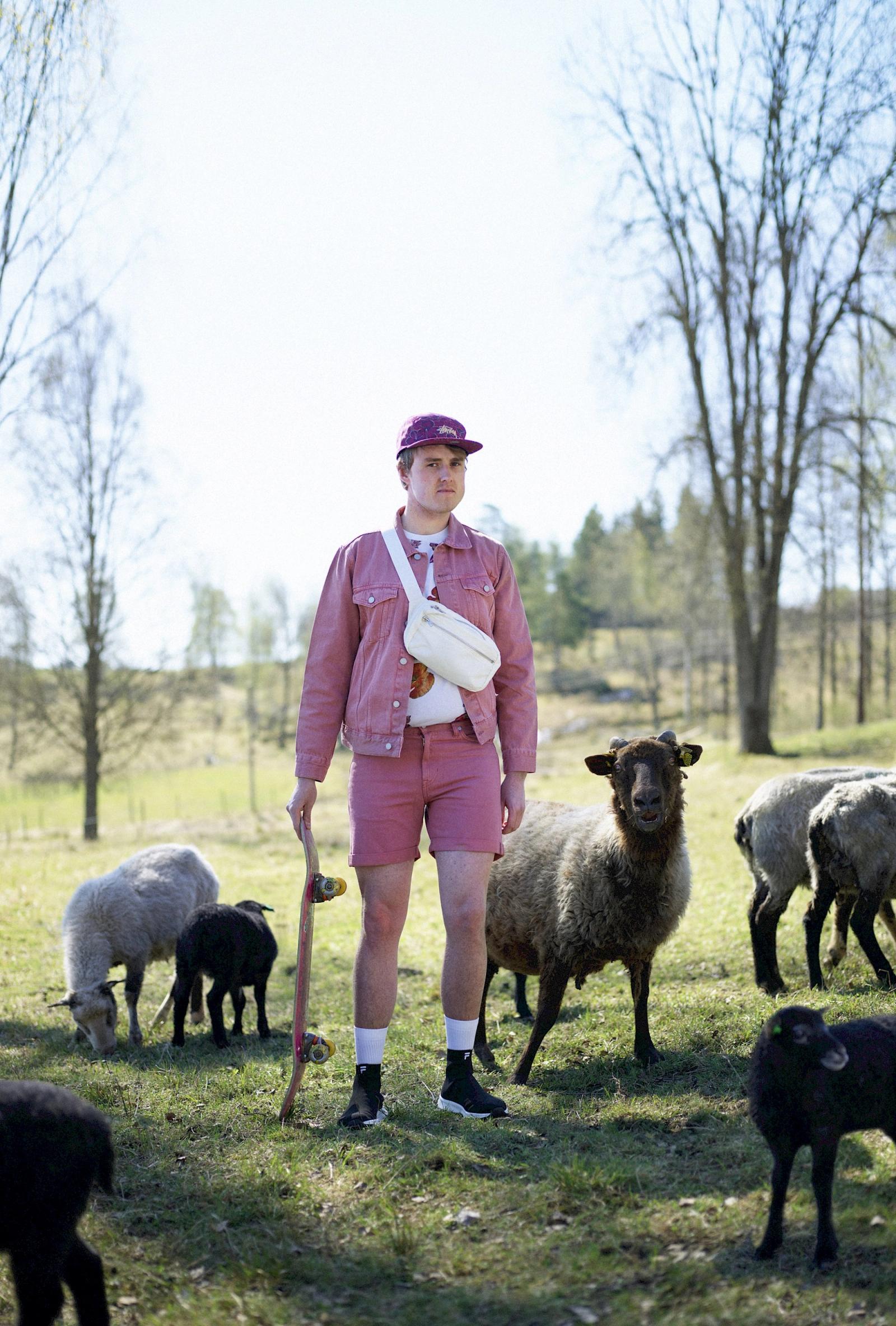 A man in a pink denim jacket, pink shorts, and a pink baseball cap, standing in a field with a flock of sheep, holding a skateboard.