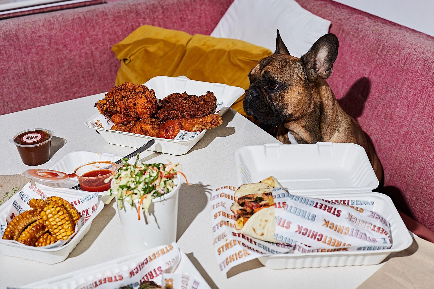 A dog sitting at a table with a variety of food, including fried chicken, salad, and a sandwich, in a restaurant or food delivery setting.