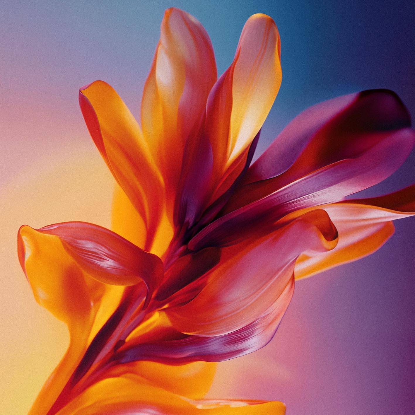 A vibrant, abstract flower with petals in shades of orange, pink, and purple, set against a blurred, gradient background.
