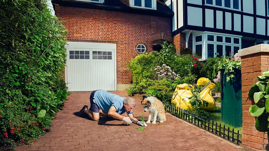 A man in a blue shirt and shorts is kneeling on a brick path, surrounded by lush greenery, with a dog sitting next to him, and a large yellow bag in the background.