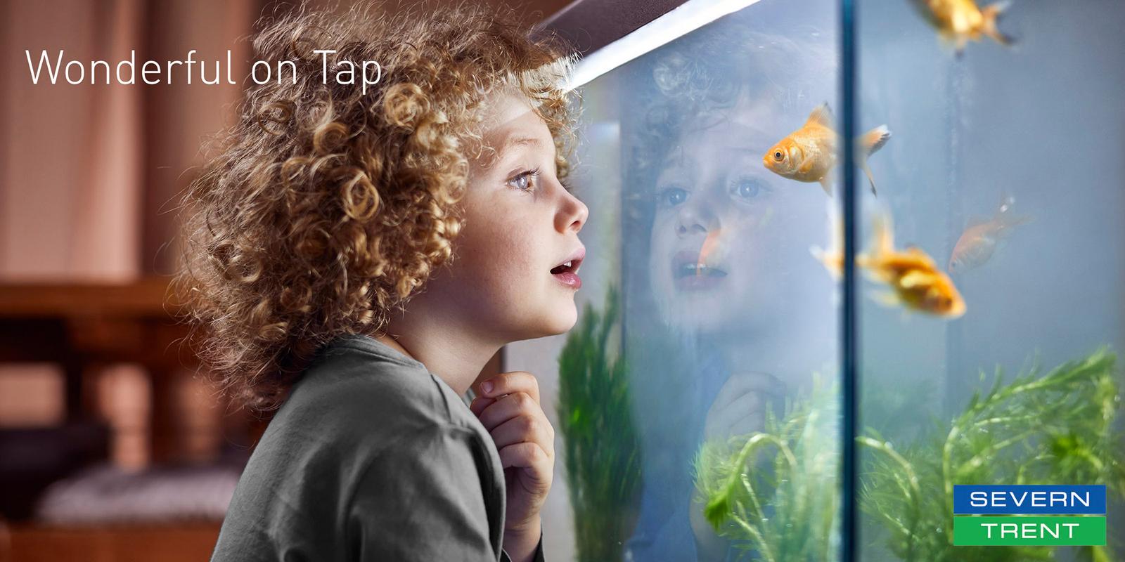 A young boy with curly hair is looking at a fish tank with goldfish swimming inside.