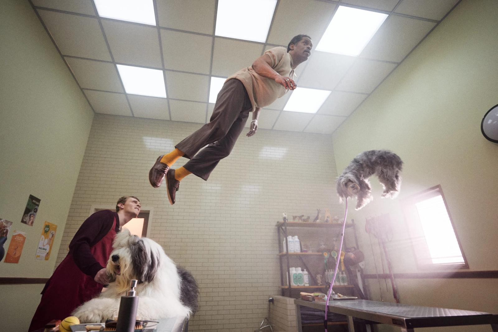 A man is leaping through the air, with his arms outstretched and his face set in a determined expression. He is surrounded by three dogs, one of which is sitting on a chair,.