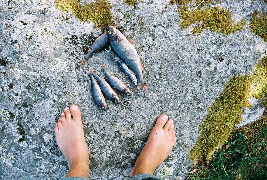 A person's bare feet standing on a rocky surface with a few small fish nearby.