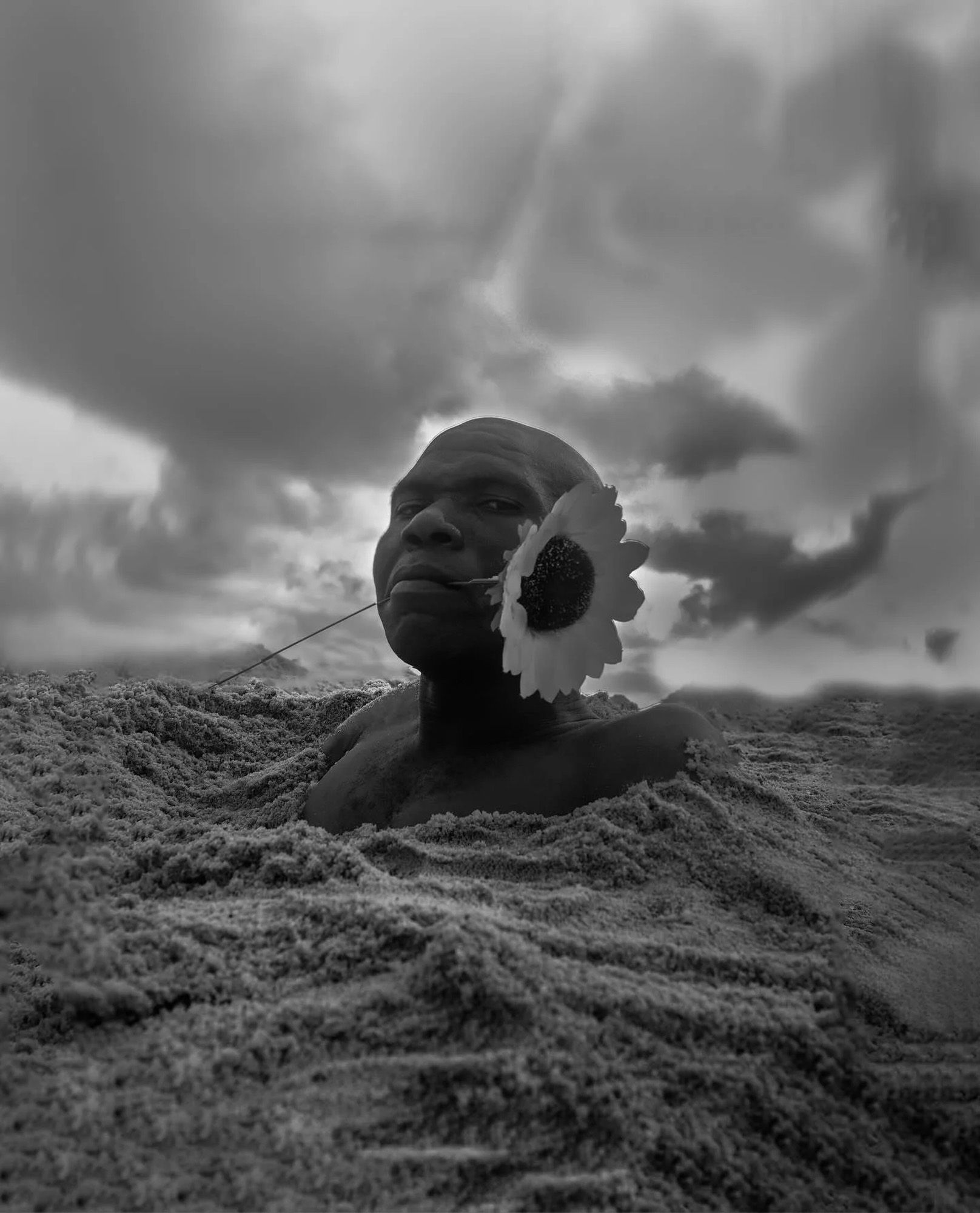 A person buried in the sand, with a flower in their mouth, and a string tied to the flower, with the person's face visible above the sand.