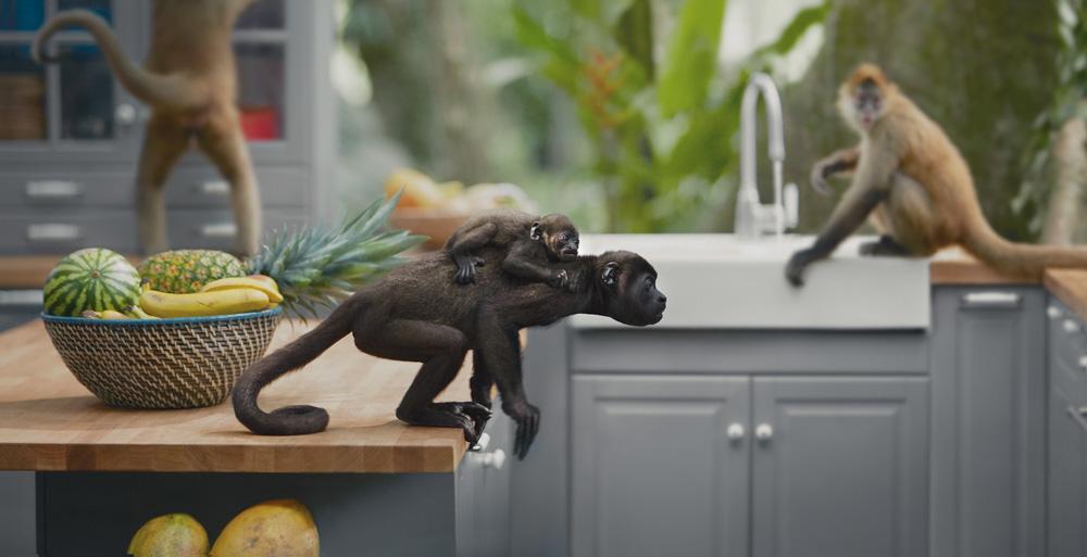 A monkey is sitting on a kitchen counter, surrounded by a bowl of fruit, including a pineapple, a watermelon, and a banana.