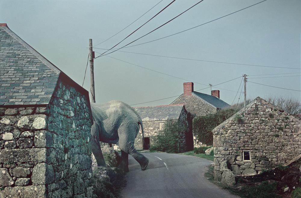 An elephant is walking down a narrow, stone-paved road in a rural, old-world village, surrounded by ancient, stone-built houses and buildings.