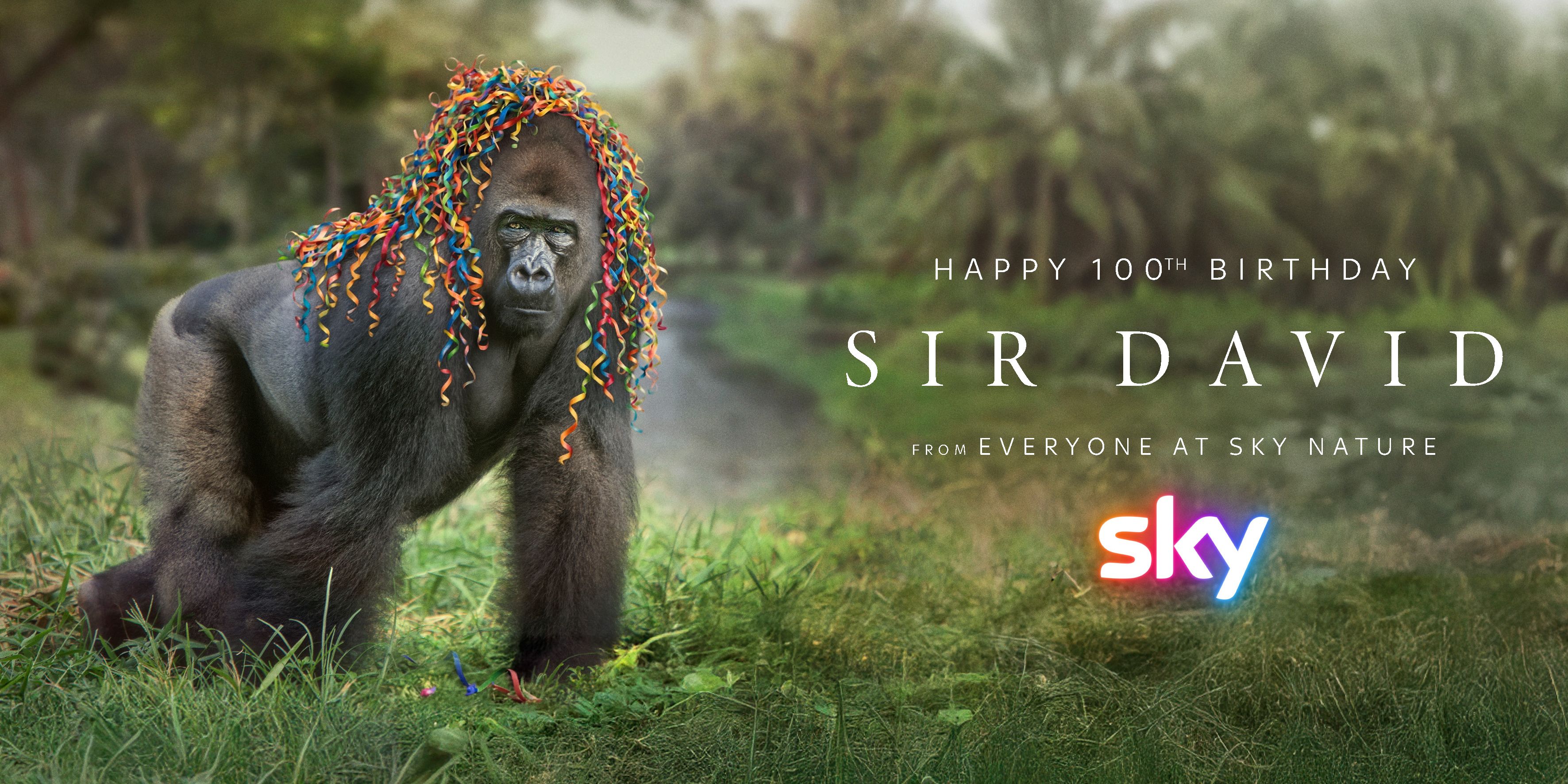 Sir David Attenborough 100th Happy Birthday photo by George Logan Gorilla