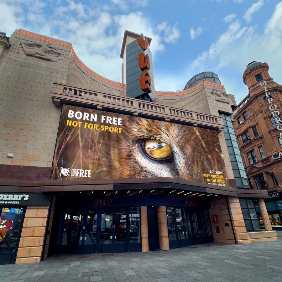The image shows a large billboard on the side of a building, with a close-up shot of a tiger's eye in the center. The sky above is blue with white clouds. The billboard features.