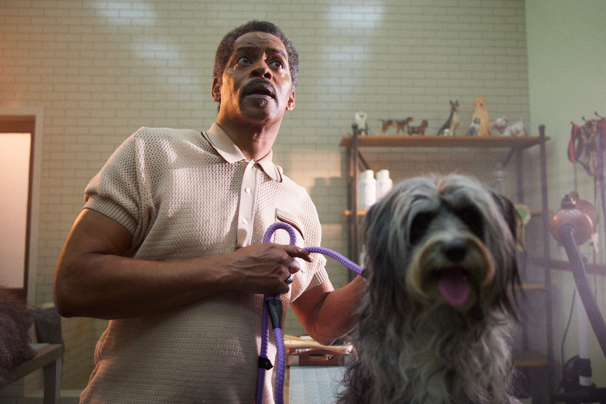 A man in a cream-colored knit sweater is standing in a room with a dog in front of him. The man has a mustache and is holding a purple rope or leash in his left hand, with his.
