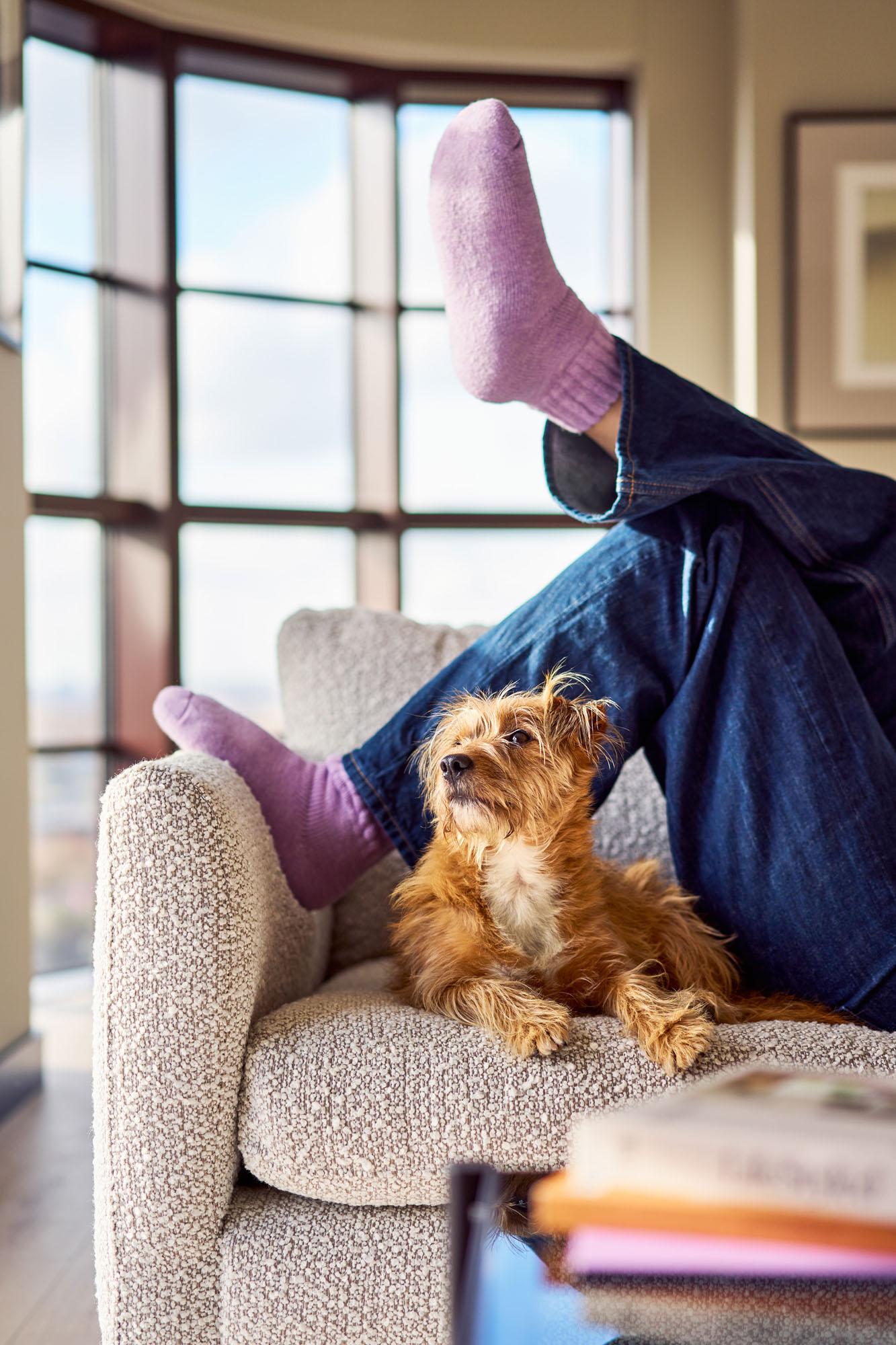 A person is sitting on a couch with a small dog on their lap, wearing jeans and a casual top.