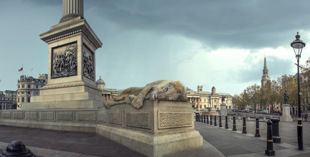 A lion statue is perched atop a stone pedestal in the middle of a city square, surrounded by tall buildings and a large fountain.