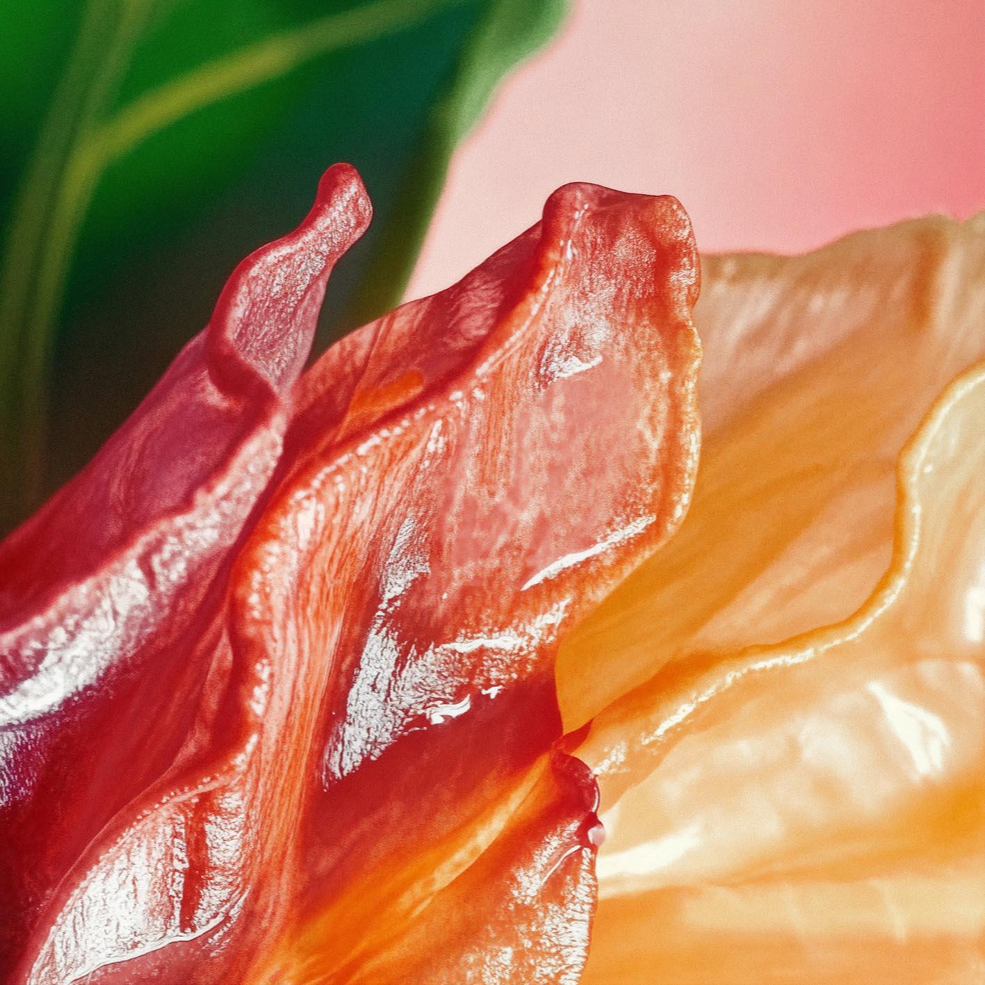 A close-up of a red and orange leaf with a glossy, wet appearance, possibly from a tropical plant like a hibiscus or a bromeliad.